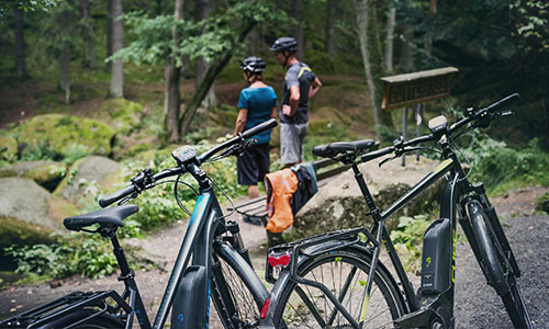 In primo piano si vedono due biciclette da trekking, dietro due ciclisti che guardano il bosco.