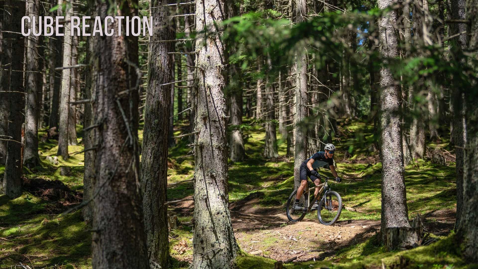Ciclista che attraversa un bosco con una mountain bike Cube Reaction Hardtail, titolo dell'immagine: Cube Reaction.