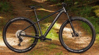 Si vede una mountain bike nera Cube Mountainbike, che si trova su un sentiero nel bosco.