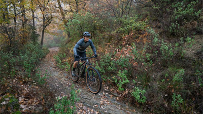 Si vede un ciclista sulla sua mountain bike. Sta percorrendo un sentiero attraverso un bosco.