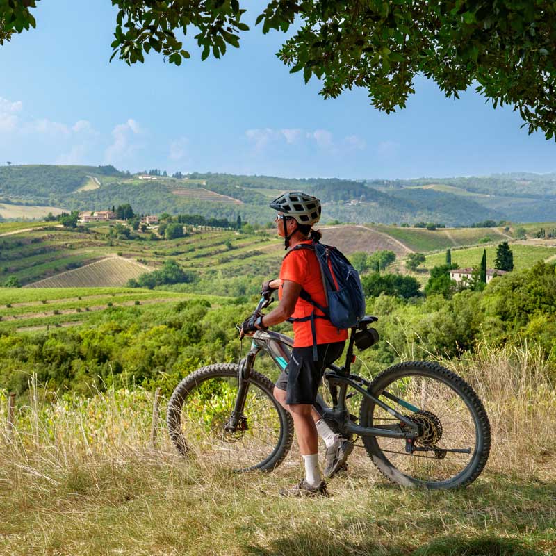 Clicca qui per vedere la nostra panoramica dei marchi in saldo