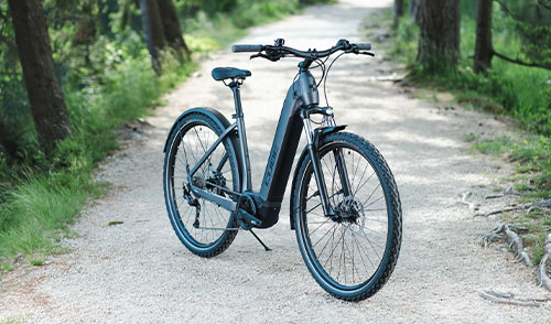 Clicca qui per andare alle nostre biciclette elettriche da trekking